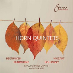 __Quintet for Horn and String Quartet__ (2020)