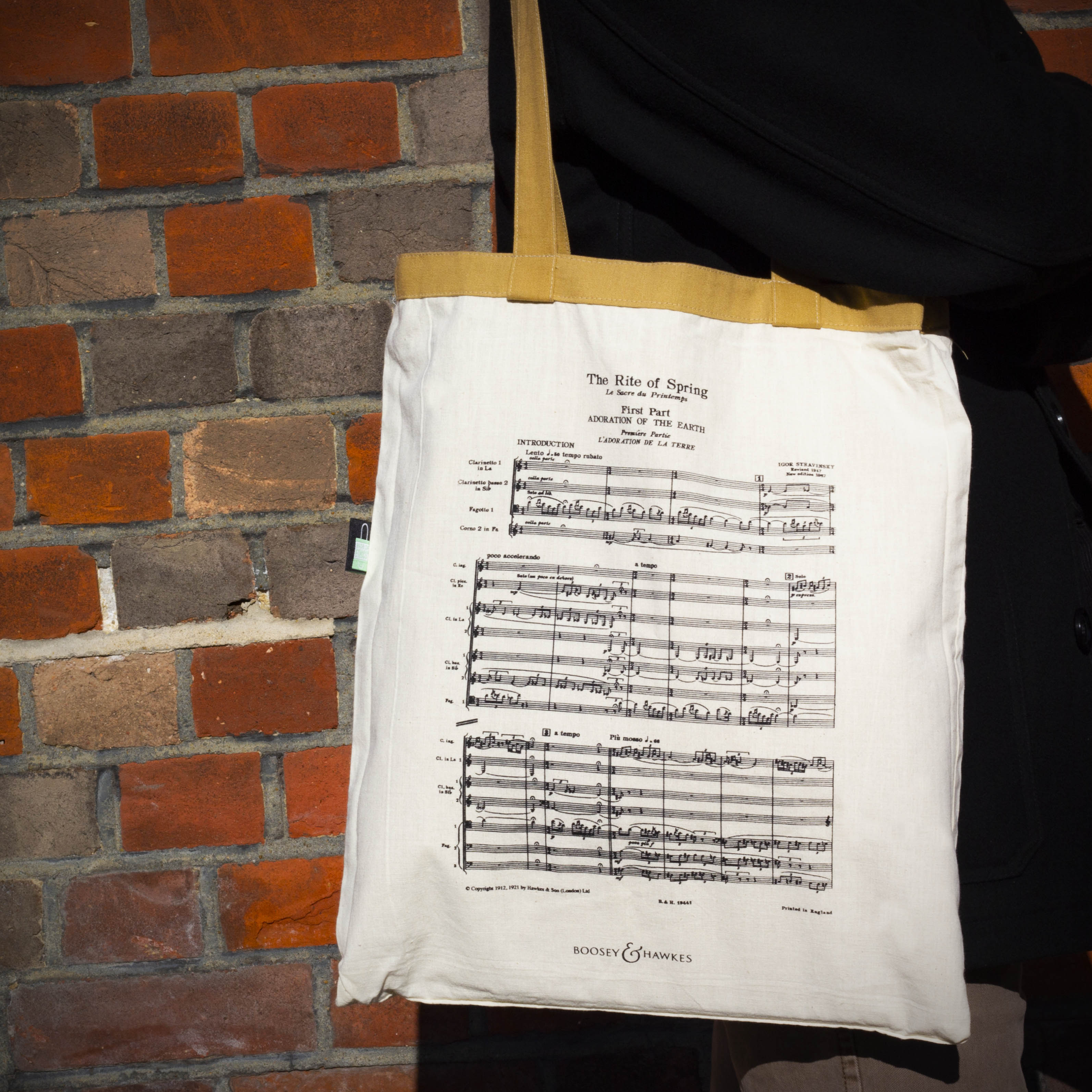 Stravinsky - The Rite of Spring (HPS 638) Reversible Tote Bag