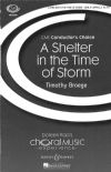 Broege, Timothy: Shelter in the Time