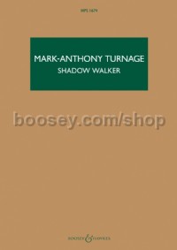 Shadow Walker (After Mark Wallinger)