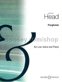 Foxgloves In A Flat (Violin & Piano)