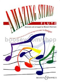 Amazing Studies Flute