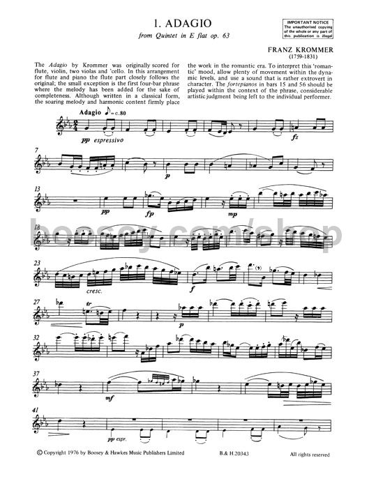 Romantic Music for Flute Peter Wastall