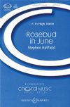 Hatfield, Stephen: Rosebud in June