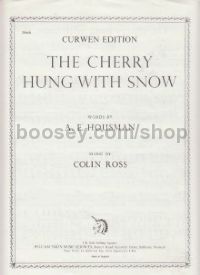 Cherry Hung With Snow 