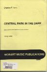Central Park In The Dark