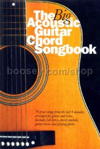 Big Acoustic Guitar Songbook