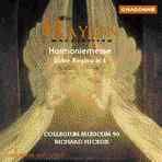 Harmoniemesse/Salve Regina (The Haydn Mass Addition) (Chandos Audio CD)