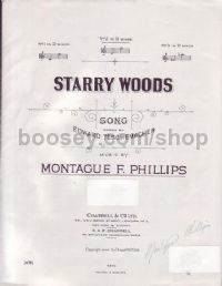 Starry Woods (in E Minor)