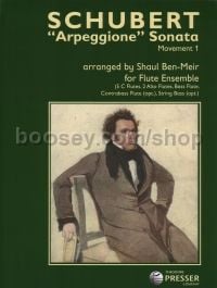 Sonata in A minor D821 "Arpeggione"- 1st mvt (arr. flute ensemble)