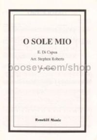 O Sole Mio - for B-flat soloist (piano reduction)