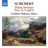 Piano Sonatas Nos. 2, 3 & 6 (Naxos Audio CD)