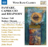 Wind Band Classic (Naxos Audio CD)