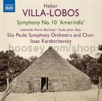 Symphony No. 10 (Naxos Audio CD)