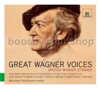 Great Wagner Voices (Br Klassik Audio CD)