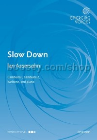 Slow Down (Ccbar & Piano)
