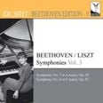 Symphonies vol.3 (Idil Biret Archive Audio CD)