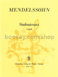 Sinfoniesatz in C minor - string ensemble (score)