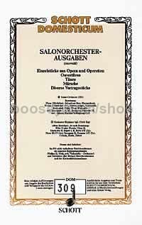 Geschichten aus dem Wienerwald op. 325 - salon orchestra (piano direction & parts)