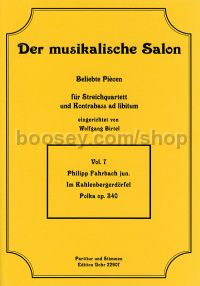 In Kahlenbergerdörfel Op.340 (The Musical Salon)