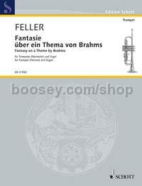 Fantasy on a Theme by Brahms - trumpet (clarinet) and organ