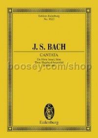 Cantata No. 104 (Dominica Misericordias Domini)