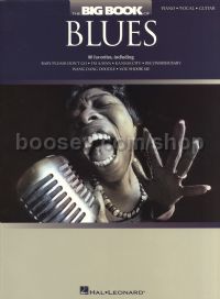Big Book Of Blues