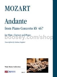 Andante from Piano Concerto KV.467 - flute, clarinet & piano