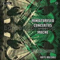 Miniaturised Concertos/Mache (Divine Art Audio CD x2)