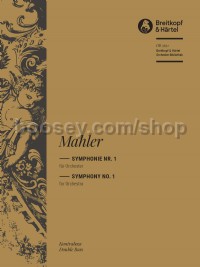 Symphonie Nr. 1 für Orchester D-Dur (1910) (Double Bass Part)