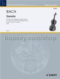 Sonata in B minor Wq 76 - violin & harpsichord