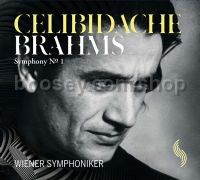 Symphony No. 1 (Solo Musica Audio CD)