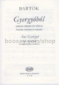 From Gyergyó - recorder & piano