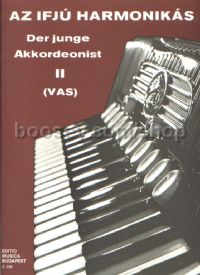 Der junge Akkordeonist II - accordion