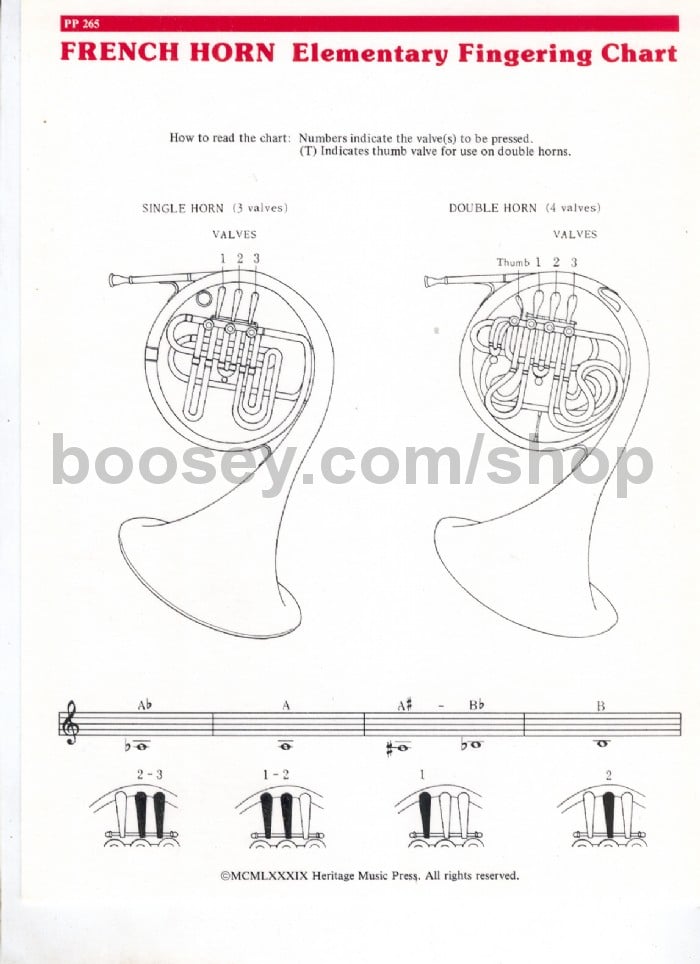 French Horn Note Chart