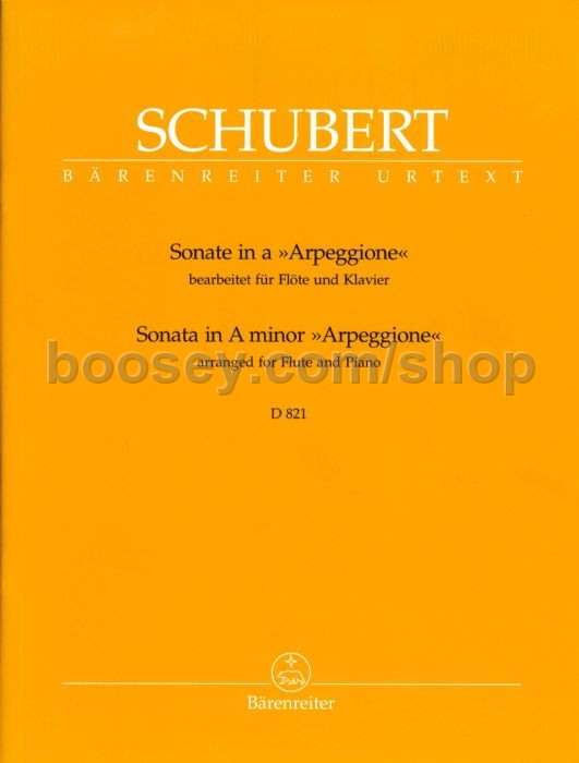 Franz Schubert - Sonata in A minor D821 