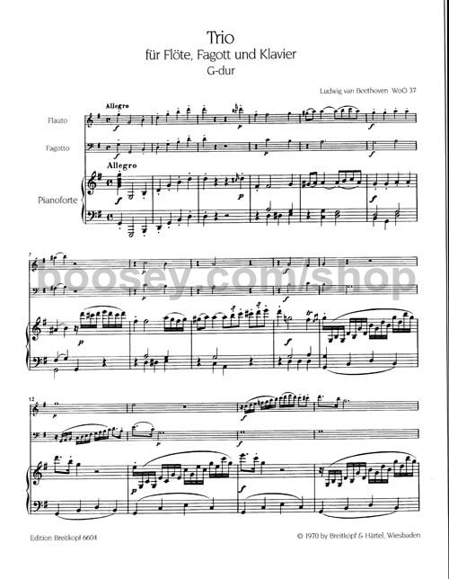 Ludwig van Beethoven Trio in g flute/bassoon/piano (Score & Parts)