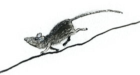 MouseRunning